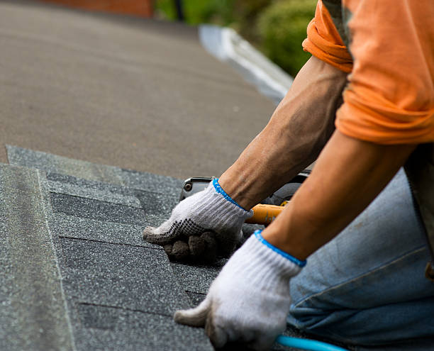 Best Roof Gutter Cleaning  in Yorklyn, PA